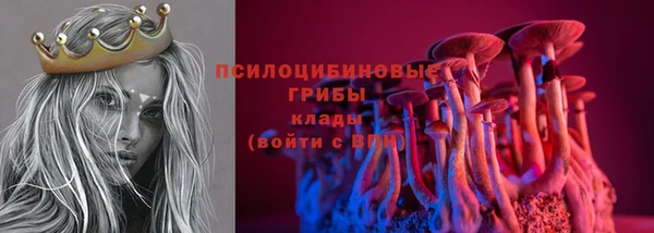 индика Кинешма