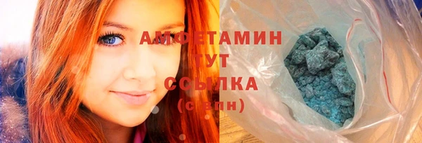 индика Кинешма
