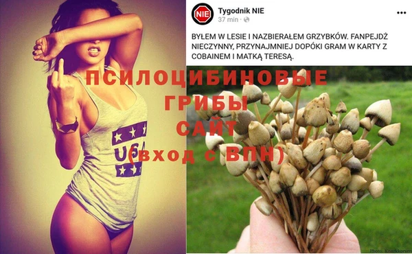 индика Кинешма