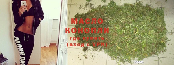 индика Кинешма