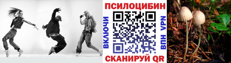 Купить где Подольск Псилоцибиновые грибы ЛСД